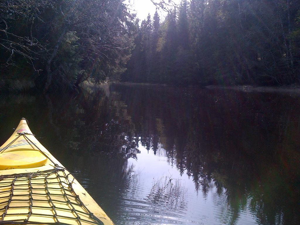 Holmset Camping And Fishing Namdalseid المظهر الخارجي الصورة