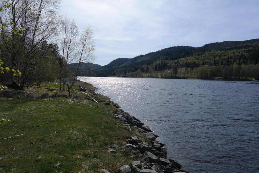 Holmset Camping And Fishing Namdalseid المظهر الخارجي الصورة
