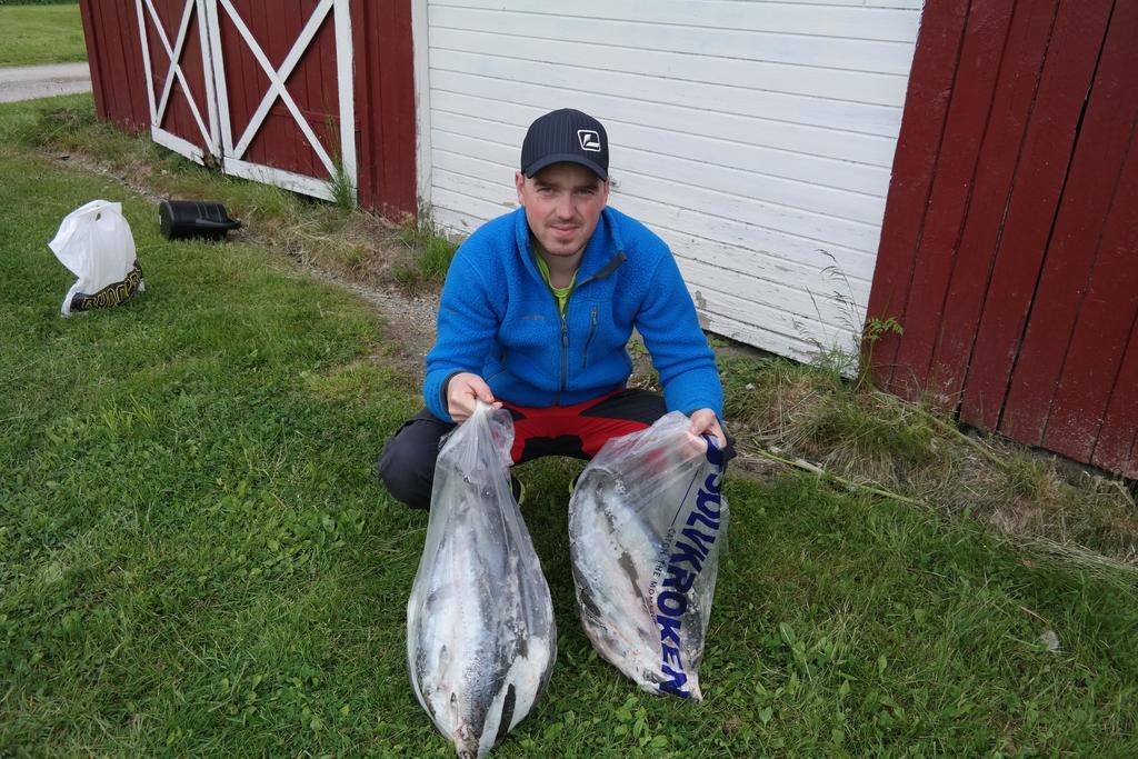Holmset Camping And Fishing Namdalseid المظهر الخارجي الصورة