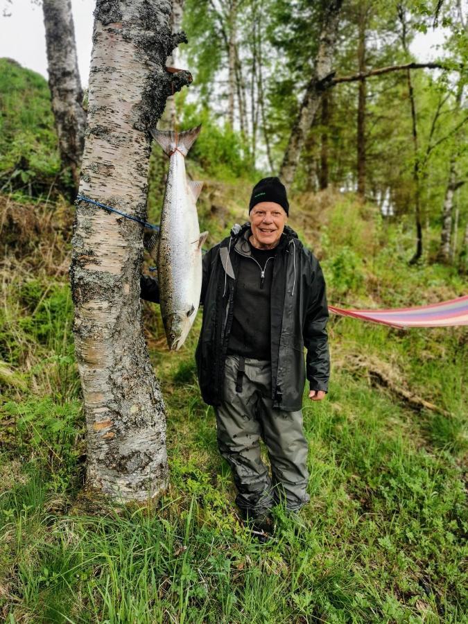 Holmset Camping And Fishing Namdalseid المظهر الخارجي الصورة
